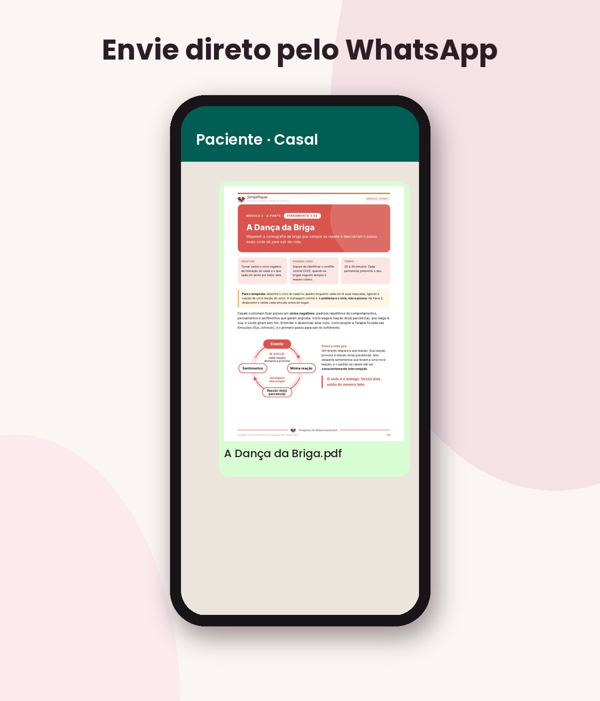 Ferramenta A Dança da Briga enviada em PDF pelo WhatsApp